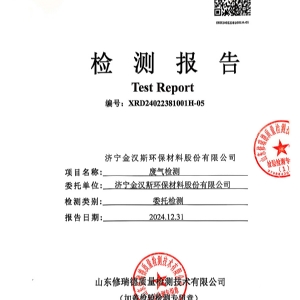 檢測報告(2024.12.31)