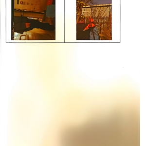 檢測報告(2024.12.31)